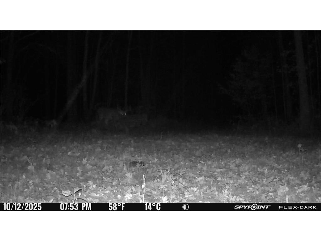 TBD 315th Avenue Laporte MN 56461 7040927 image30