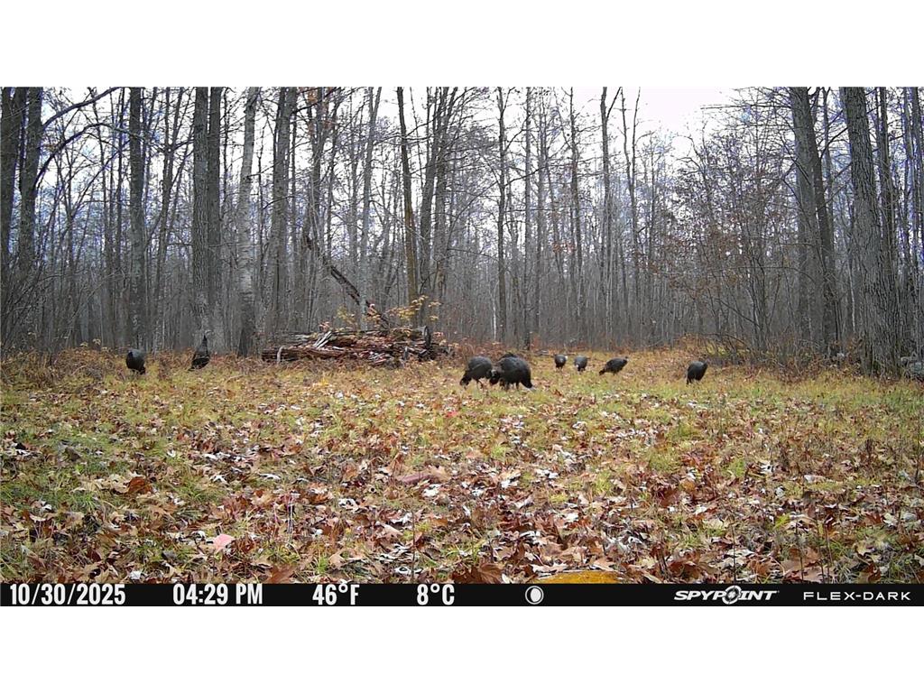 TBD 315th Avenue Laporte MN 56461 7040927 image32