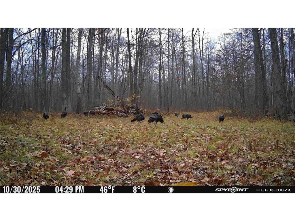 TBD 315th Avenue Laporte MN 56461 7040927 image34