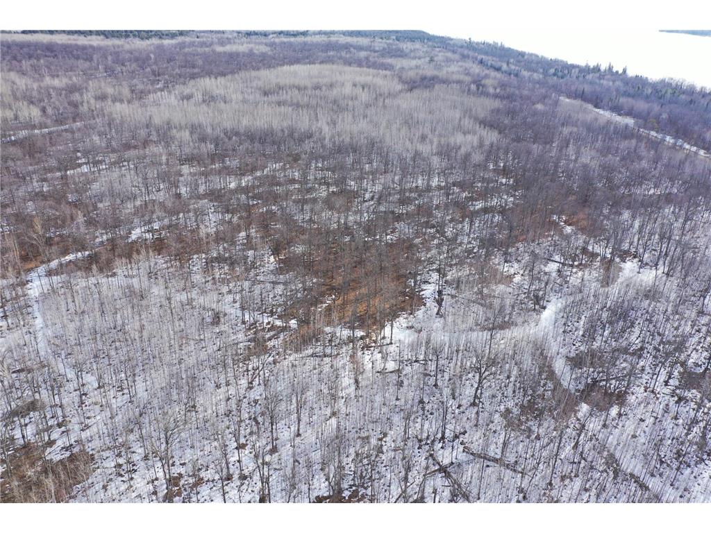 TBD 315th Avenue Laporte MN 56461 7040927 image4