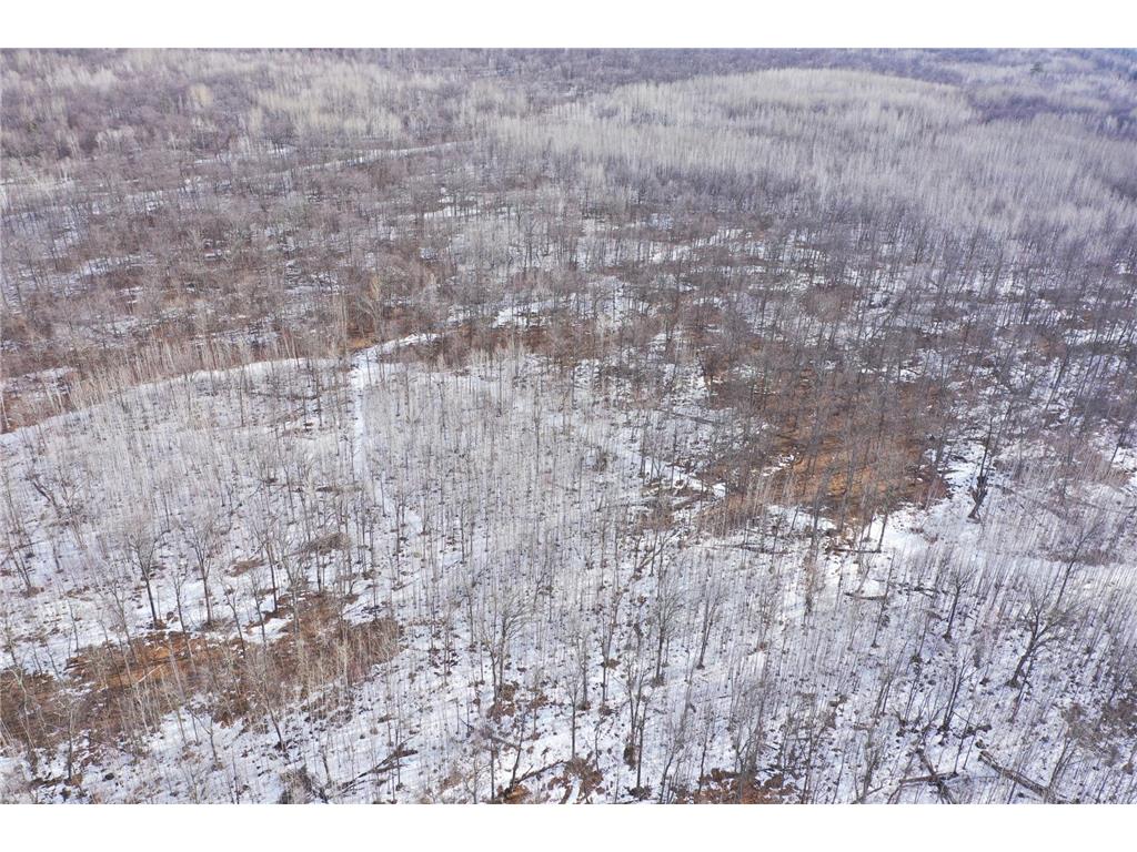 TBD 315th Avenue Laporte MN 56461 7040927 image5