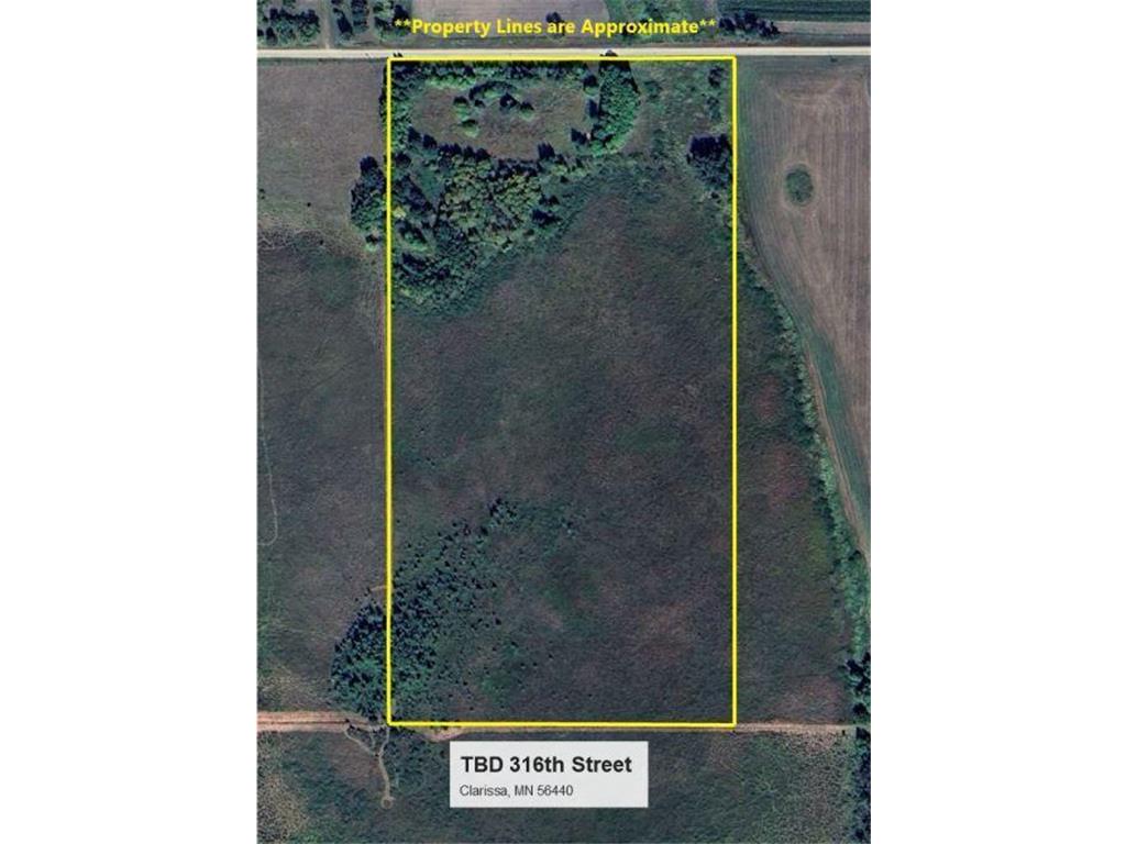 TBD 316th Street Clarissa MN 56440 6594165 image1