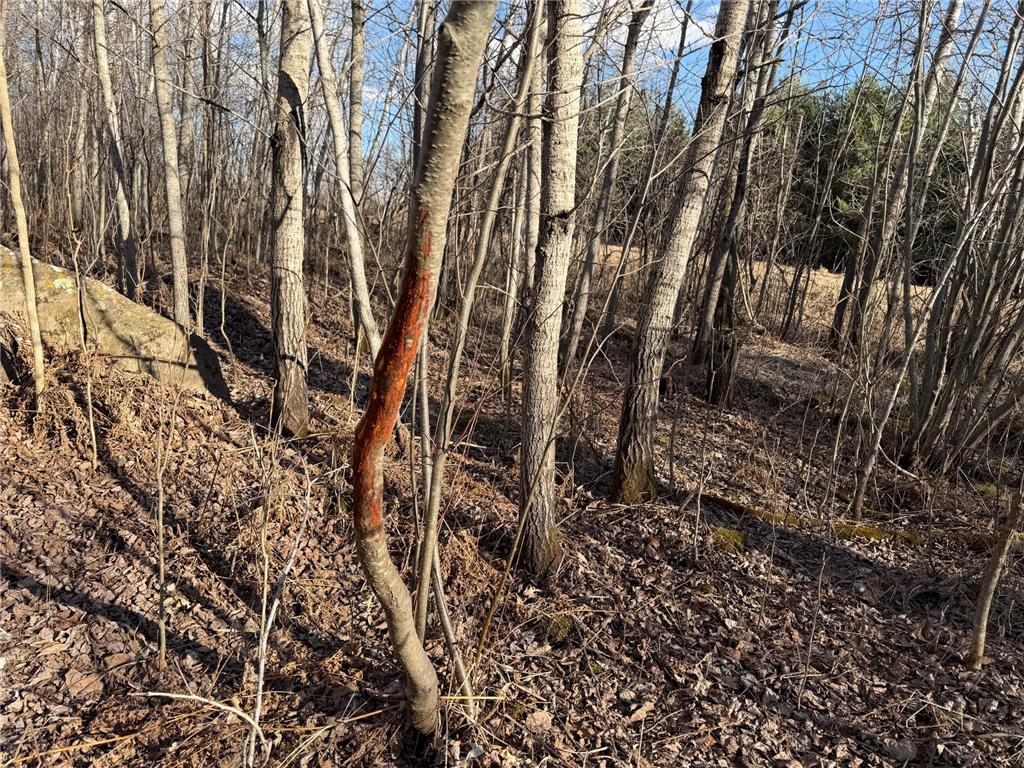 TBD 320th Street Browerville MN 56438 7056236 image19