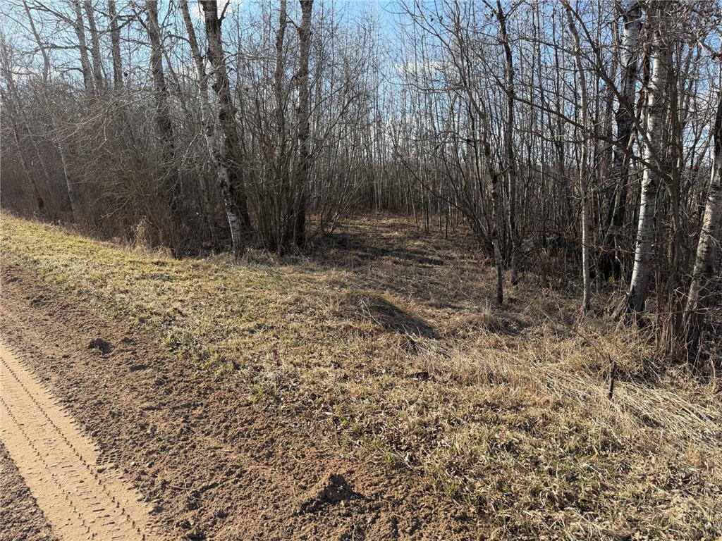 TBD 320th Street Browerville MN 56438 7056236 image20