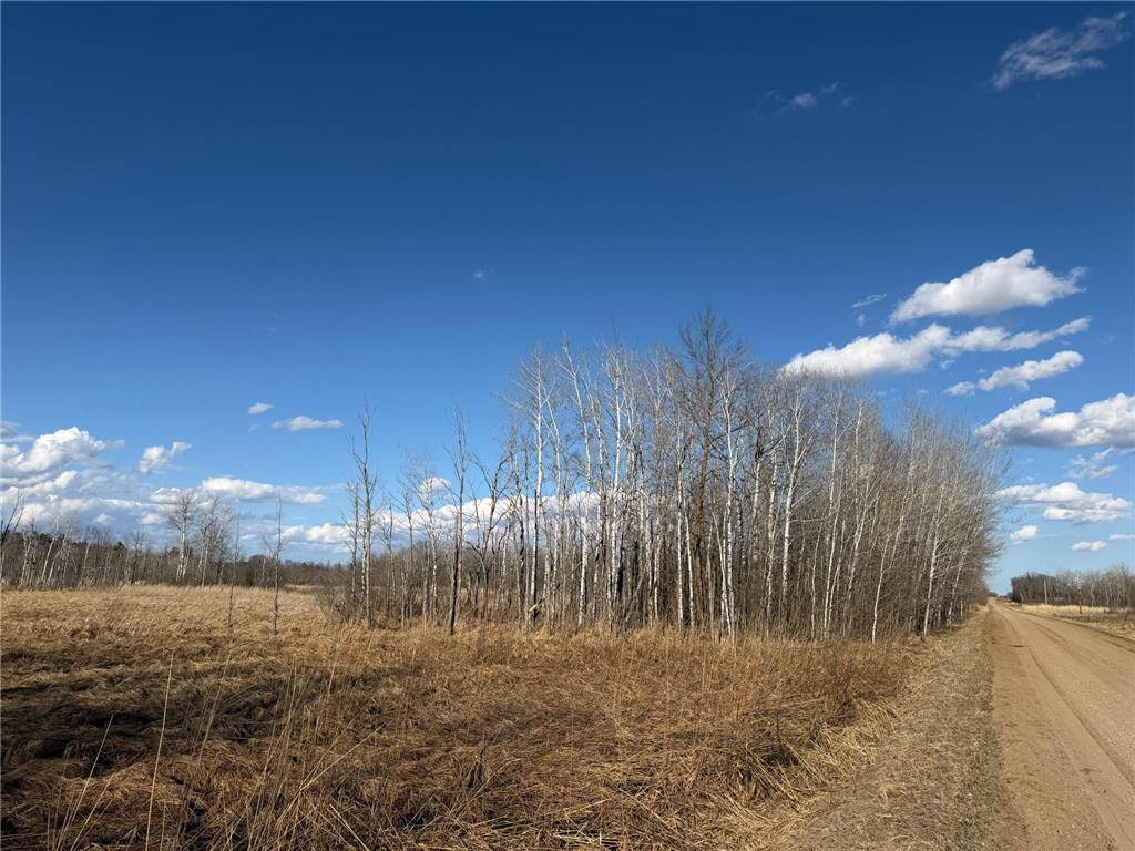 TBD 320th Street Browerville MN 56438 7056236 image21