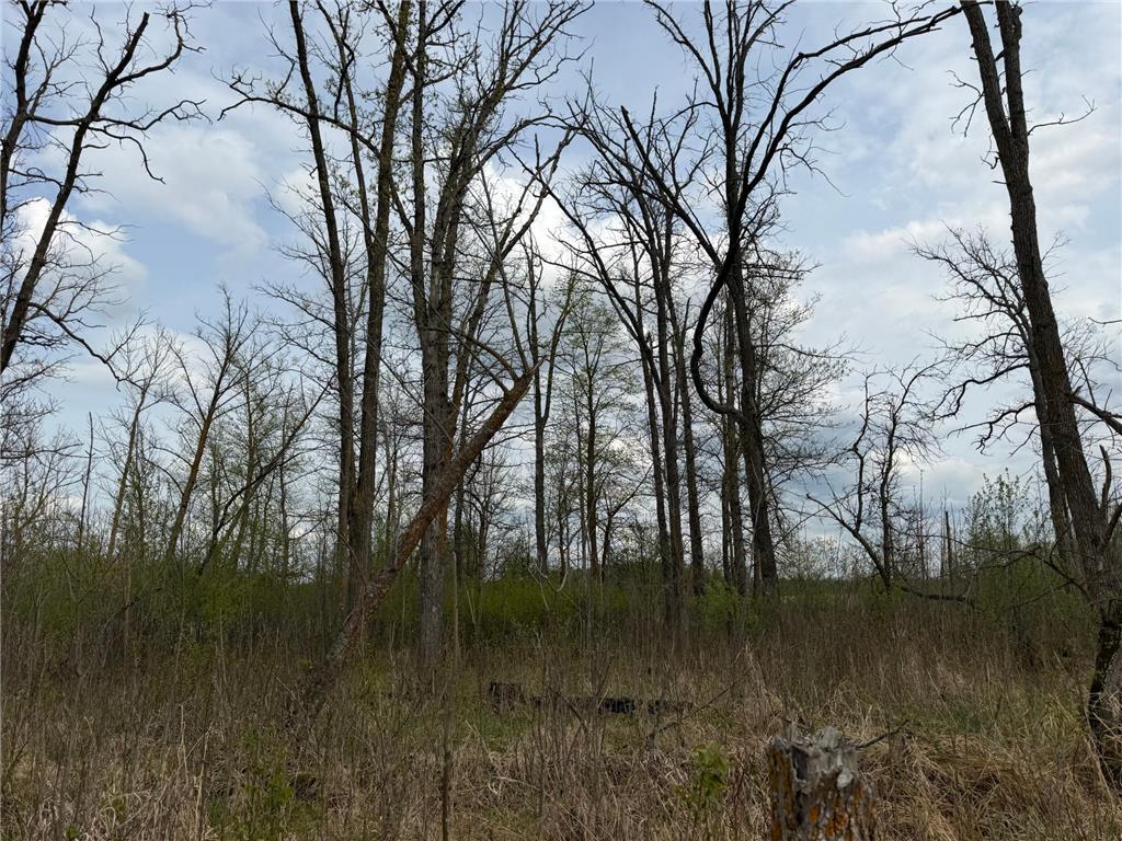TBD 320th Street Browerville MN 56438 7056236 image23