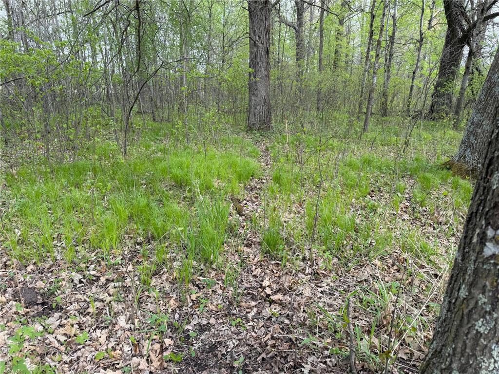 TBD 320th Street Browerville MN 56438 7056236 image26
