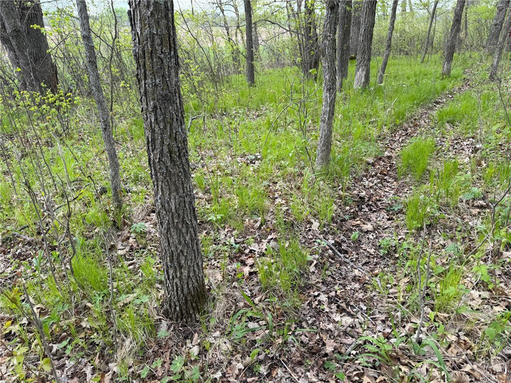 TBD 320th Street Browerville MN 56438 7056236 image27