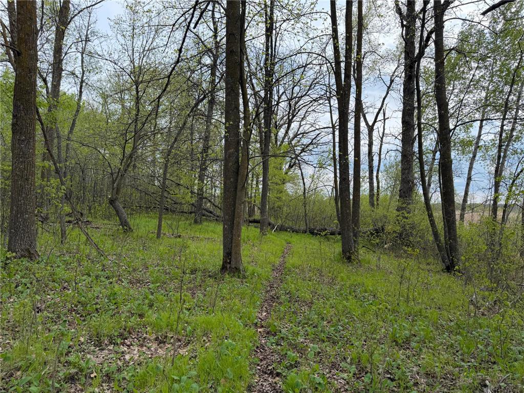 TBD 320th Street Browerville MN 56438 7056236 image28