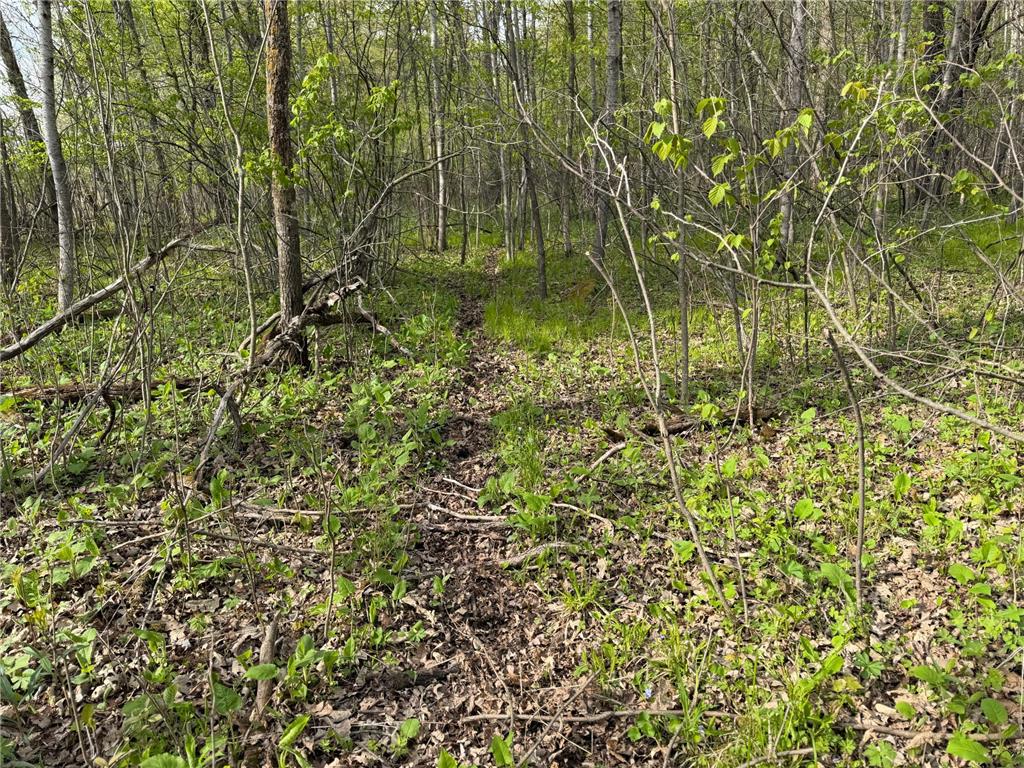 TBD 320th Street Browerville MN 56438 7056236 image30
