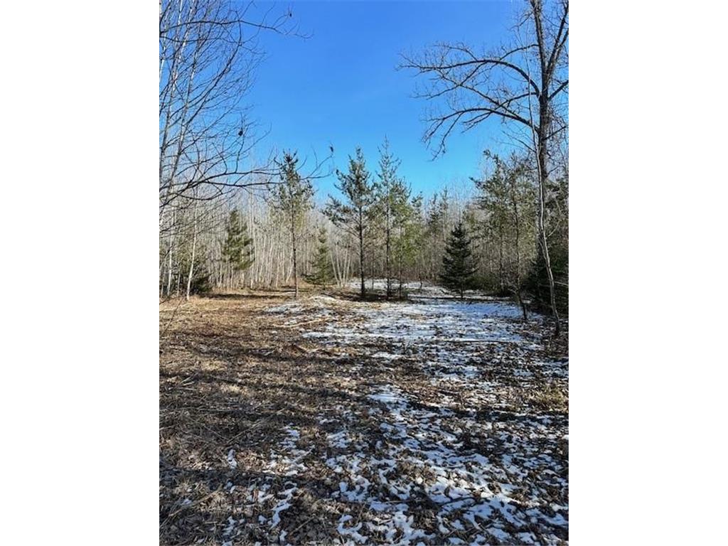 TBD 323rd Avenue Farden Twp MN 56633 6505425 image1