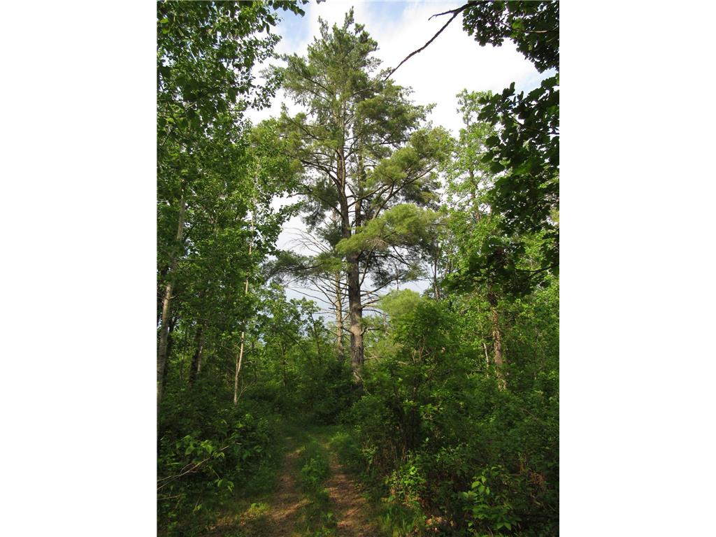 TBD 32ND AVE SW Backus MN 56435 6734140 image2