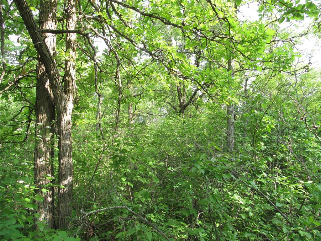 TBD 32ND AVE SW Backus MN 56435 6734140 image3