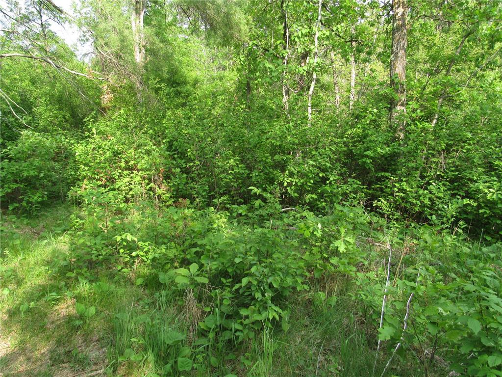 TBD 32ND AVE SW Backus MN 56435 6734140 image4