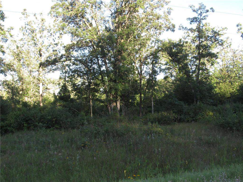TBD 32ND AVENUE SW Backus MN 56435 6595214 image1