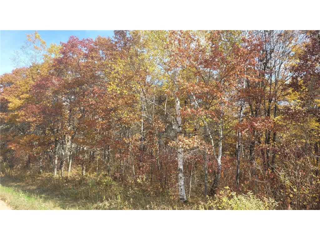 TBD* 32nd Avenue SW Backus MN 56435 6615593 image1