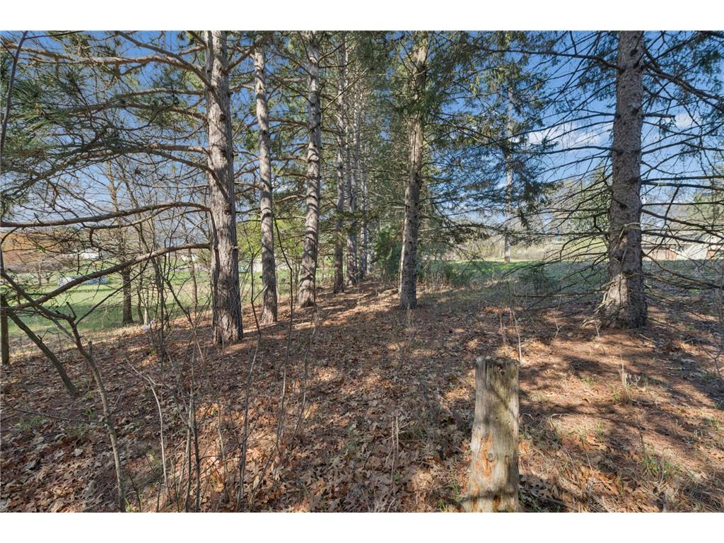 TBD 32nd Avenue SW Cambridge MN 55008 7061535 image11