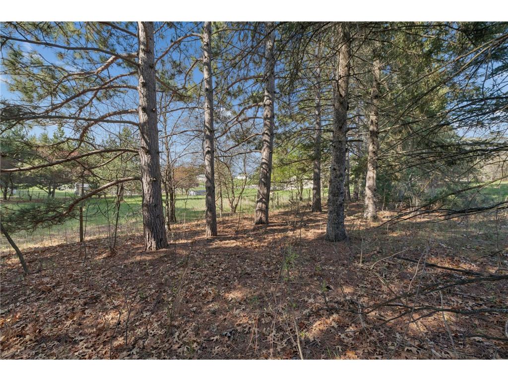 TBD 32nd Avenue SW Cambridge MN 55008 7061535 image12