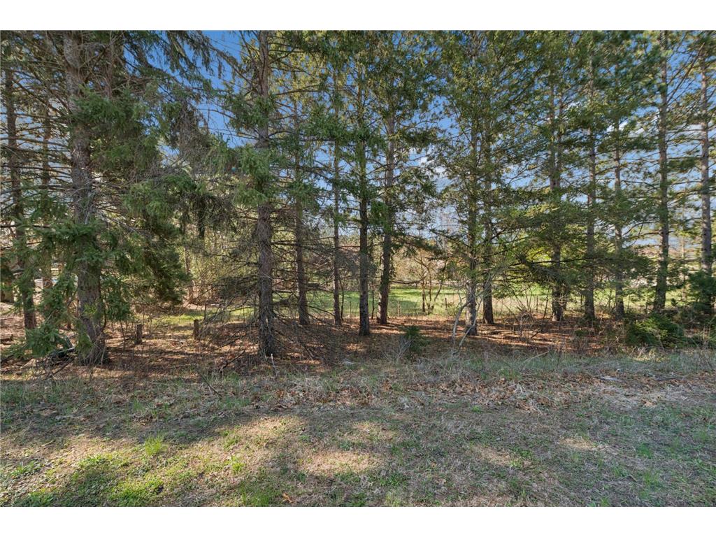 TBD 32nd Avenue SW Cambridge MN 55008 7061535 image6