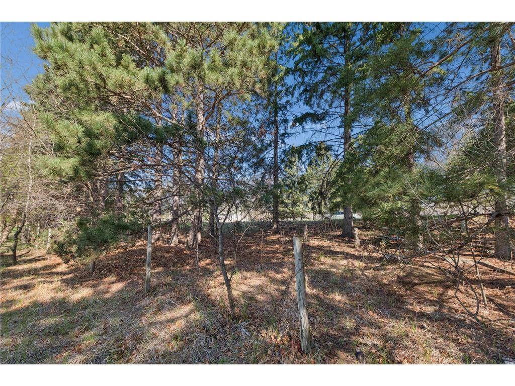 TBD 32nd Avenue SW Cambridge MN 55008 7061535 image9