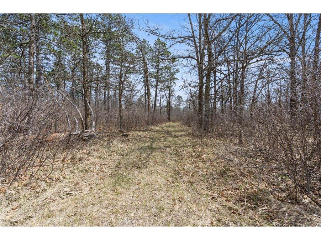TBD 32nd Avenue SW Pine River Twp MN 56435 7063609 image2