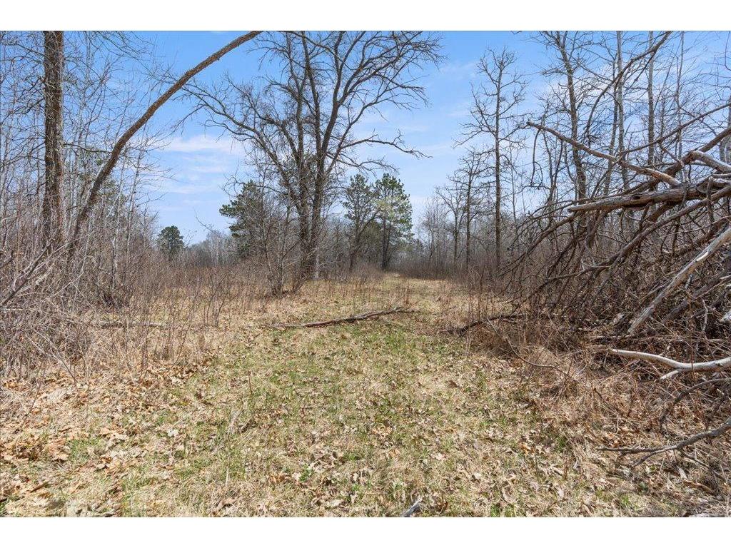 TBD 32nd Avenue SW Pine River Twp MN 56435 7063609 image24