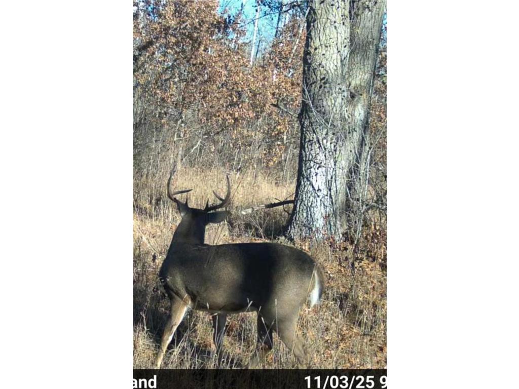 TBD 32nd Avenue SW Pine River Twp MN 56435 7063609 image26