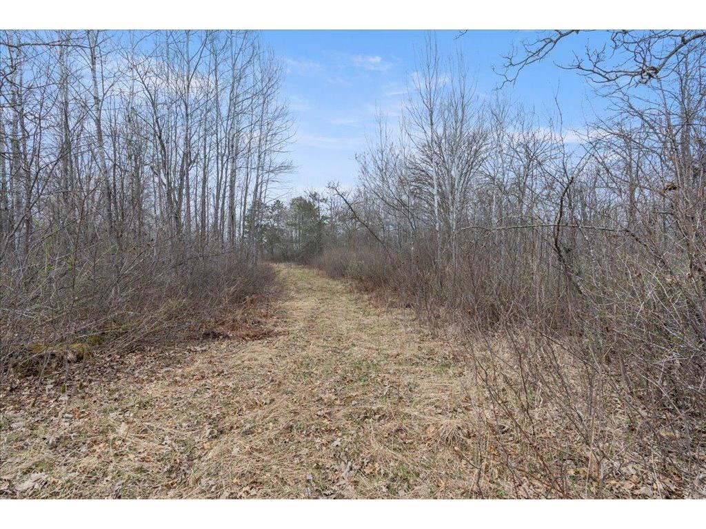 TBD 32nd Avenue SW Pine River Twp MN 56435 7063609 image5