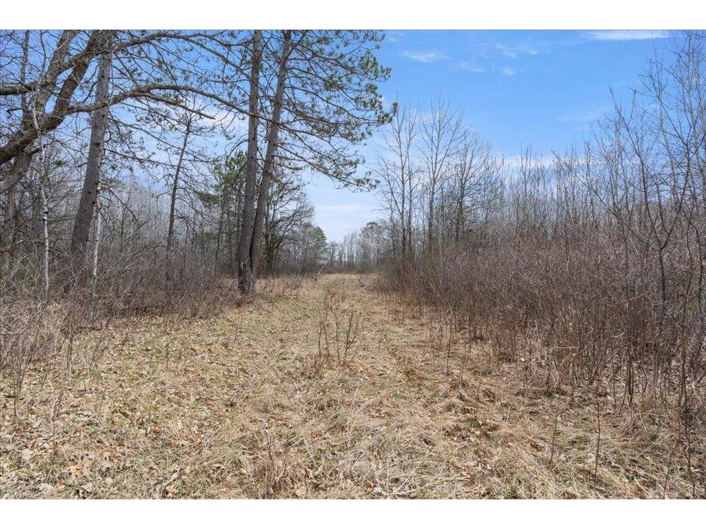 TBD 32nd Avenue SW Pine River Twp MN 56435 7063609 image8