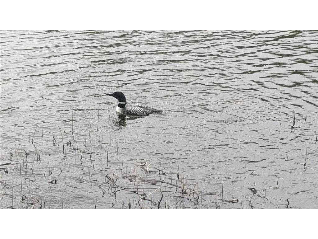 TBD 330th Avenue Erie Twp MN 56578 - Pickeral Lake 7038529 image11