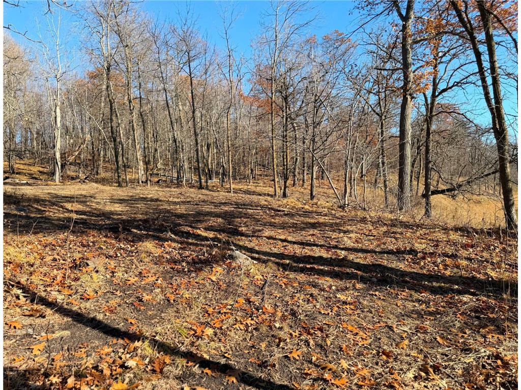 TBD 330th Avenue Erie Twp MN 56578 - Pickeral Lake 7038529 image7