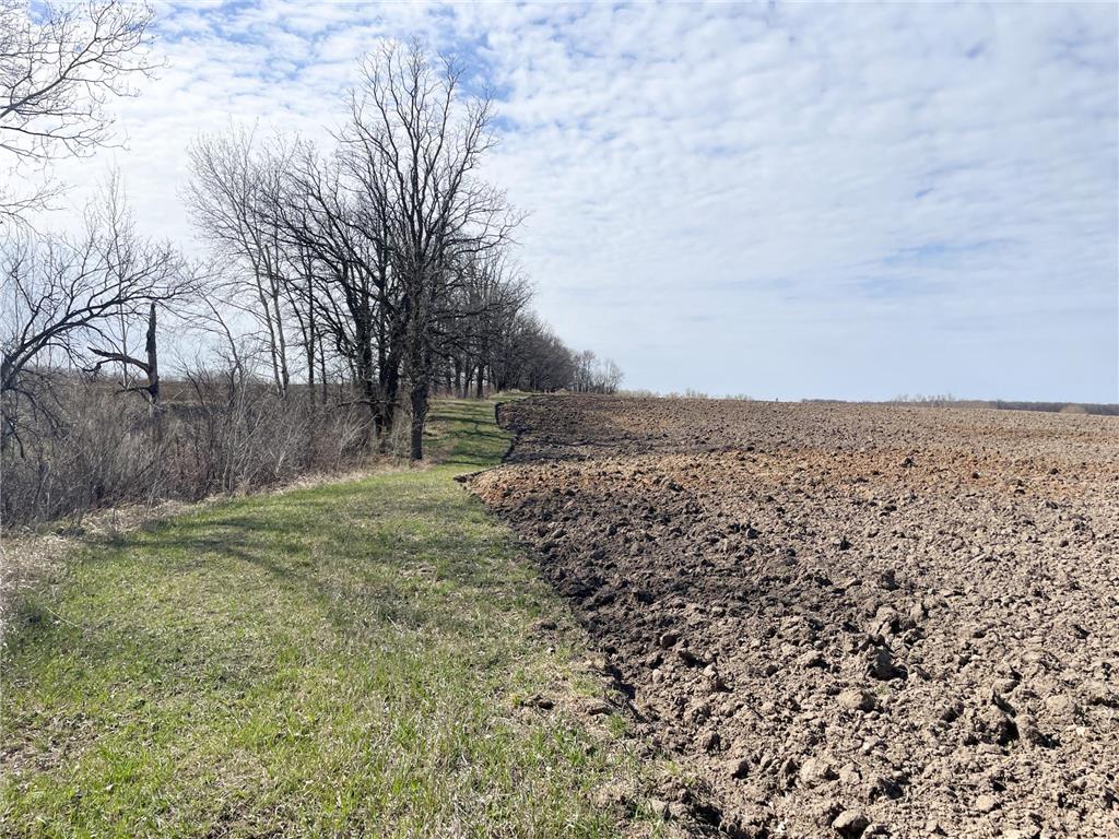 TBD 330th Avenue SE Brandsvold Twp MN 56542 7071609 image21