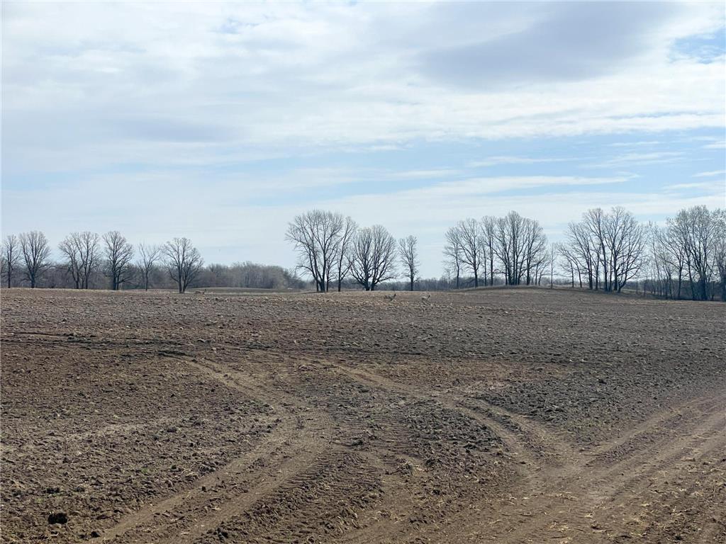 TBD 330th Avenue SE Brandsvold Twp MN 56542 7071609 image28