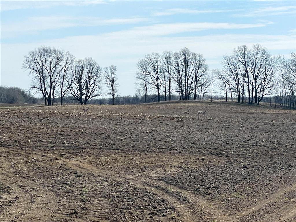 TBD 330th Avenue SE Brandsvold Twp MN 56542 7071609 image29