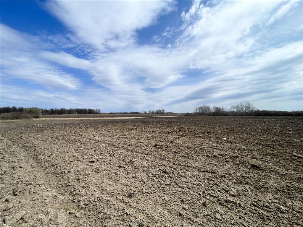 TBD 330th Avenue SE Brandsvold Twp MN 56542 7071609 image30