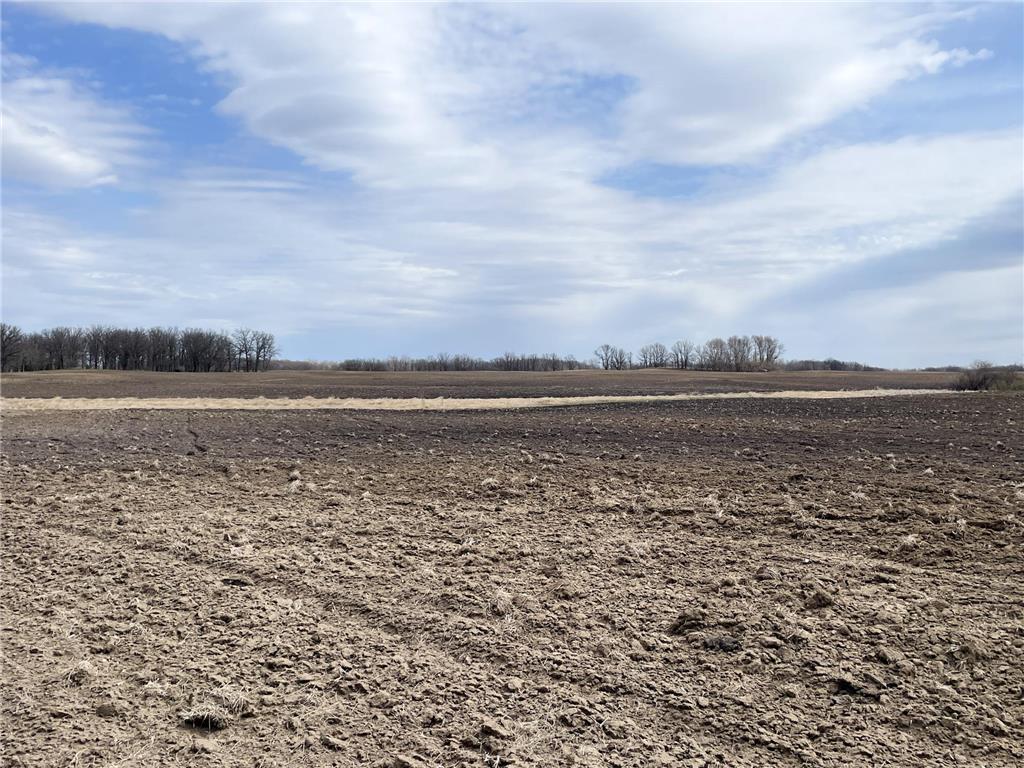 TBD 330th Avenue SE Brandsvold Twp MN 56542 7071609 image32