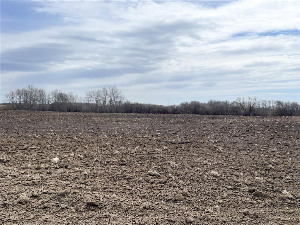 TBD 330th Avenue SE Brandsvold Twp MN 56542 7071609 image33