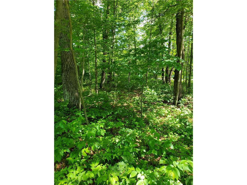 TBD 330th St Motley MN 56466 7075182 image1