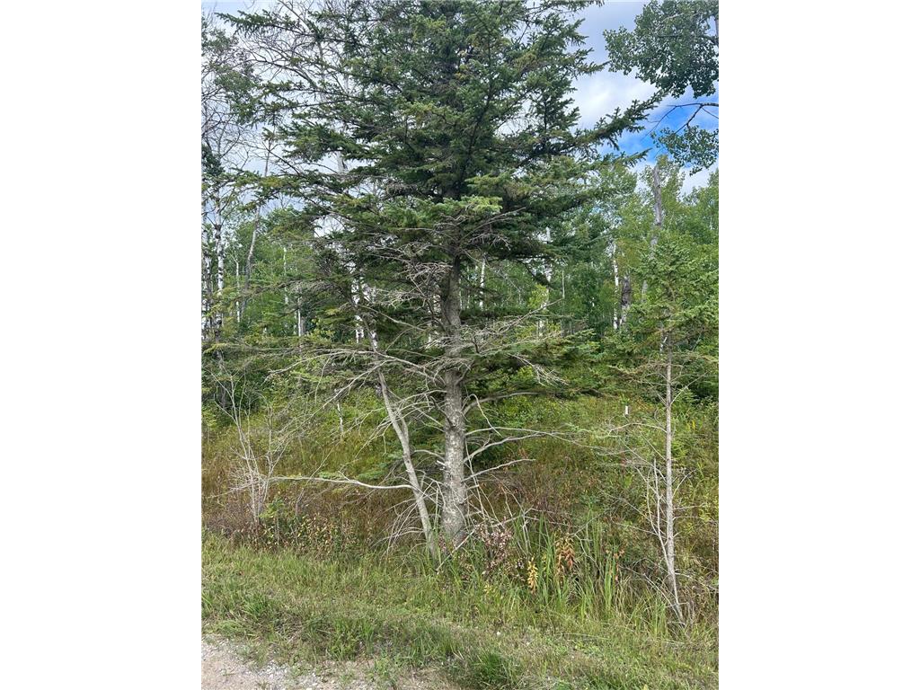 TBD 340th Avenue Roseau MN 56751 6794374 image10