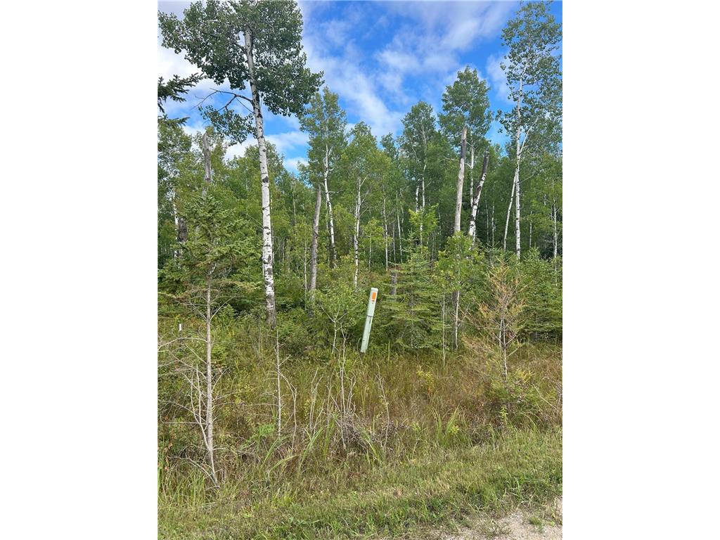 TBD 340th Avenue Roseau MN 56751 6794374 image11