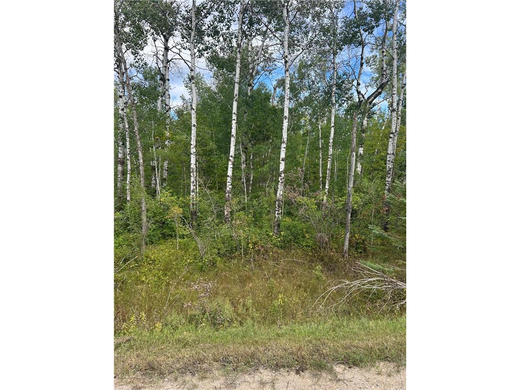 TBD 340th Avenue Roseau MN 56751 6794374 image13