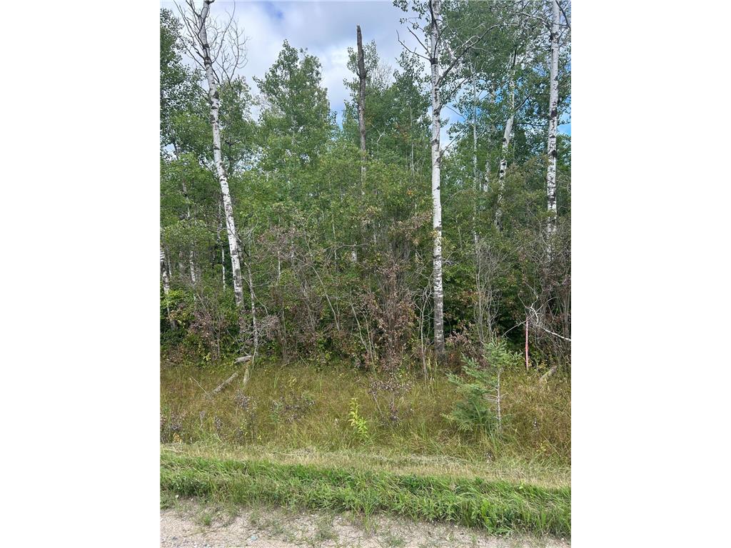 TBD 340th Avenue Roseau MN 56751 6794374 image14