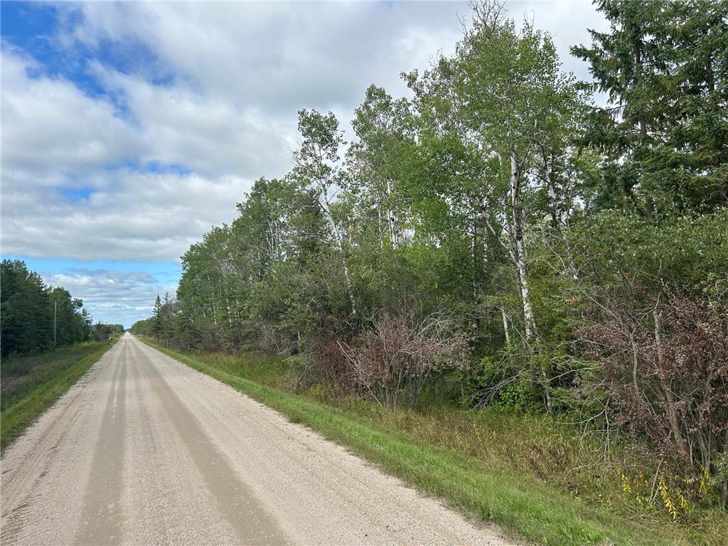 TBD 340th Avenue Roseau MN 56751 6794374 image3