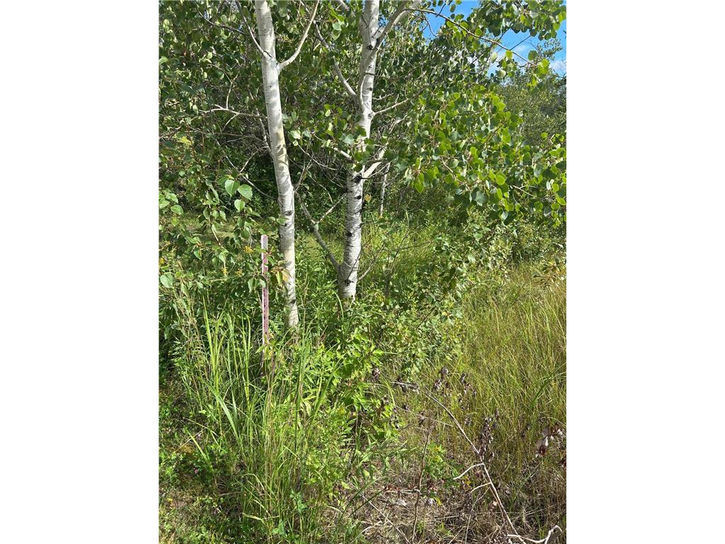 TBD 340th Avenue Roseau MN 56751 6794374 image4