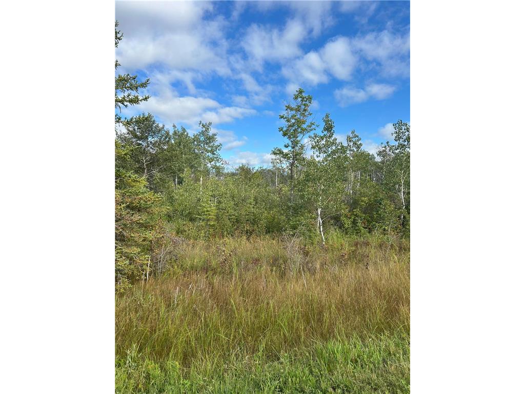 TBD 340th Avenue Roseau MN 56751 6794374 image5