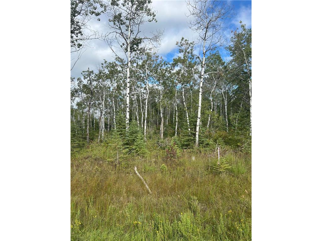 TBD 340th Avenue Roseau MN 56751 6794374 image6