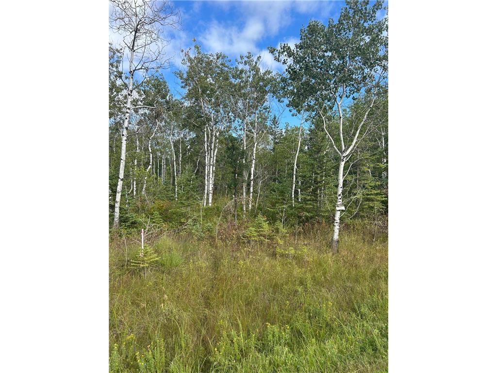 TBD 340th Avenue Roseau MN 56751 6794374 image7