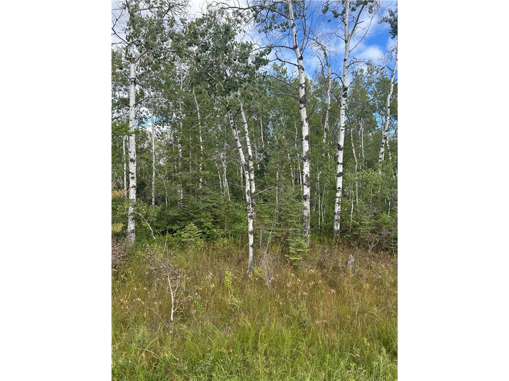 TBD 340th Avenue Roseau MN 56751 6794374 image9