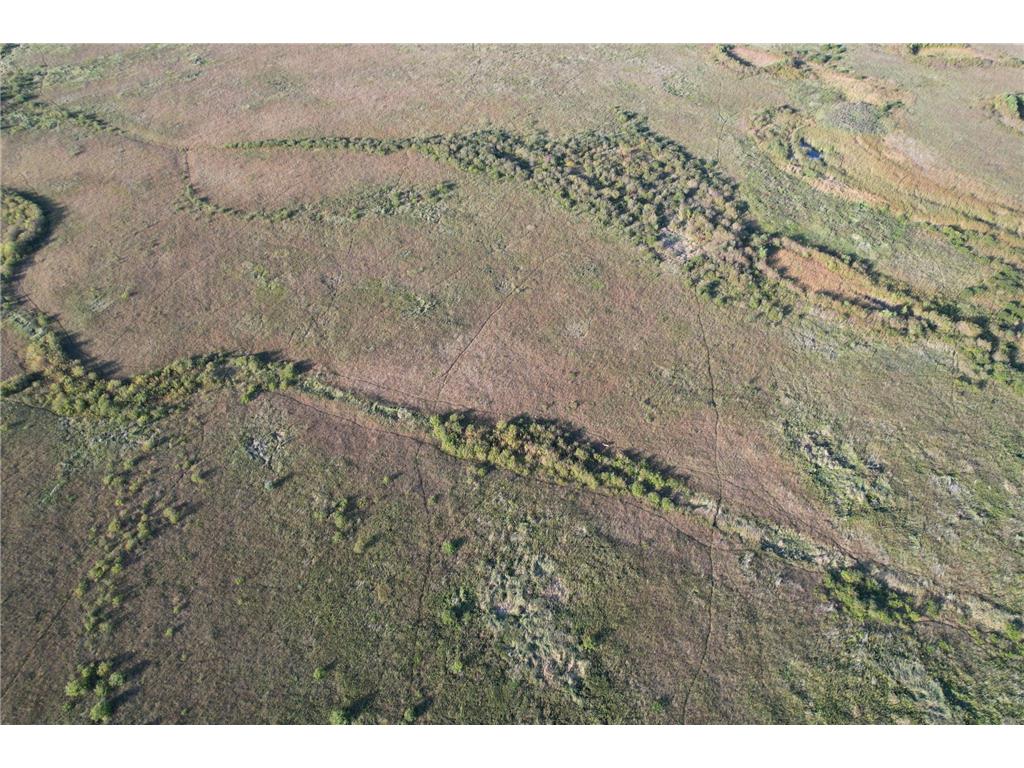 TBD 340th Street Ogema MN 56569 - Wild Rice River - South Branch 6794126 image11