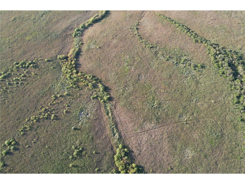 TBD 340th Street Ogema MN 56569 - Wild Rice River - South Branch 6794126 image13